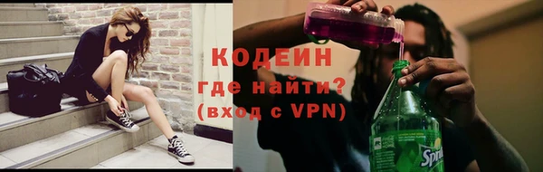 шишки Костерёво