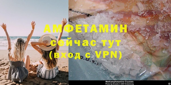 шишки Костерёво