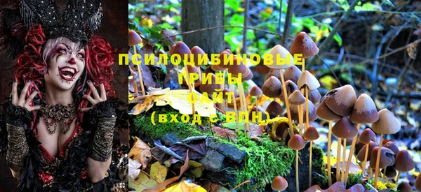 шишки Костерёво